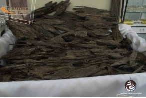 Malaysian Siofi Oud Double Super ASS4 Malaysian Siofi Oud Double Super ASS4