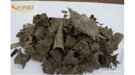 عود هندي قواقع AV12 عود هندي قواقع AV12