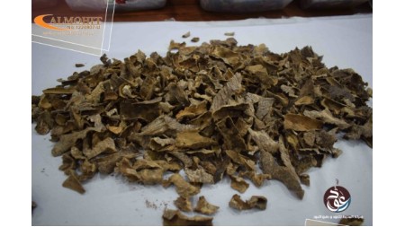 عود فيتنامي قواقع AV5 عود فيتنامي قواقع AV5