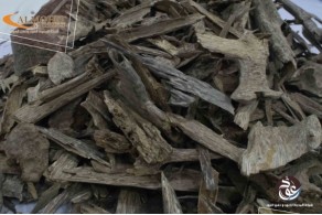 Vietnamese oud Sioufi accuracy AV6