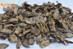 Vietnamese oud AV8 Vietnamese oud AV8