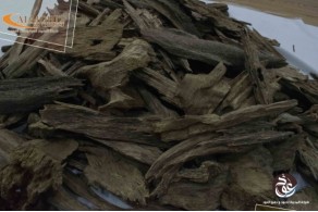 Malaysian daily use AZ70