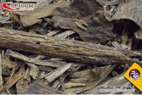 Malaysian Pahang triple super Oud AS7 Malaysian Pahang triple super Oud AS7