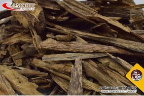 Malaysian Oud Sabah Super