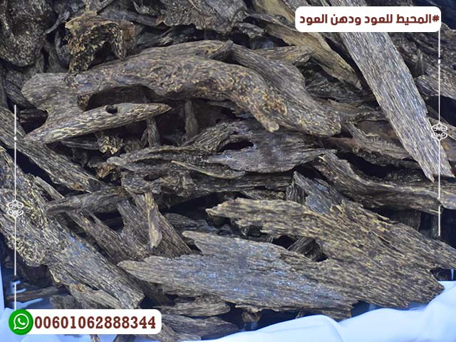 Malaysian blue oud Malaysian blue oud