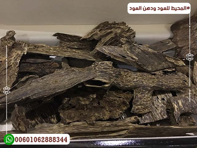 عود ازرق تايلندي عود ازرق تايلندي