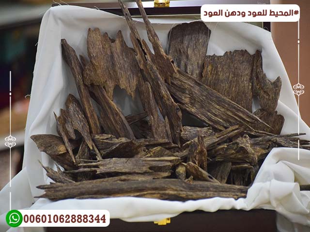 Blue Agarwood