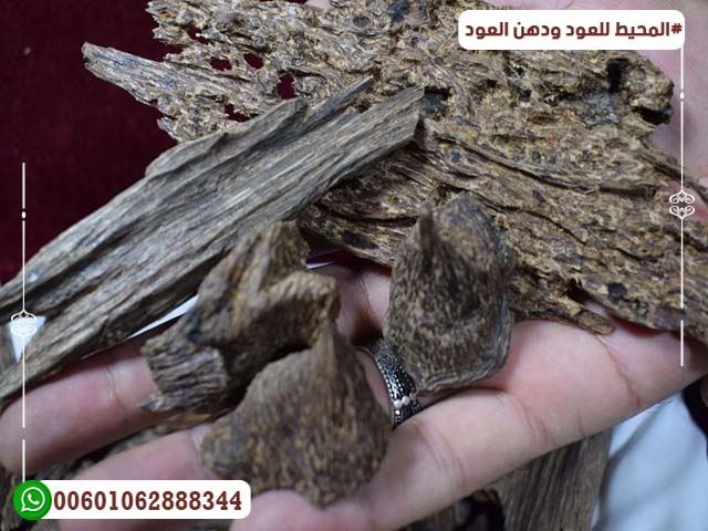 Natural Malaysian agarwood