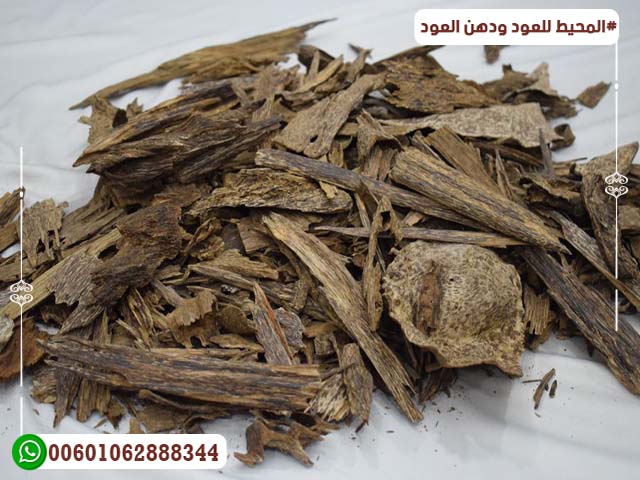 Malaysian morning oud