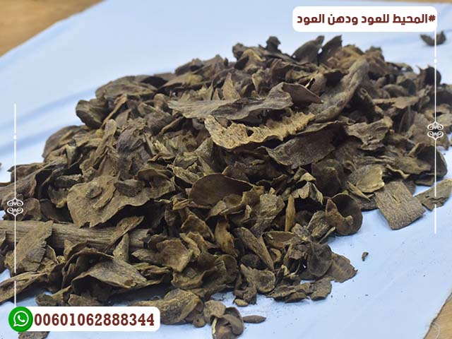 عود بورمي عود بورمي