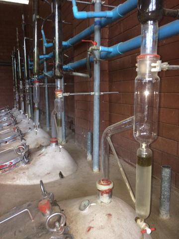 طرق إستخلاص دهن العود طرق إستخلاص دهن العود