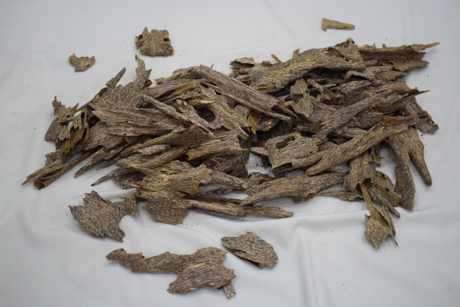 انواع العود