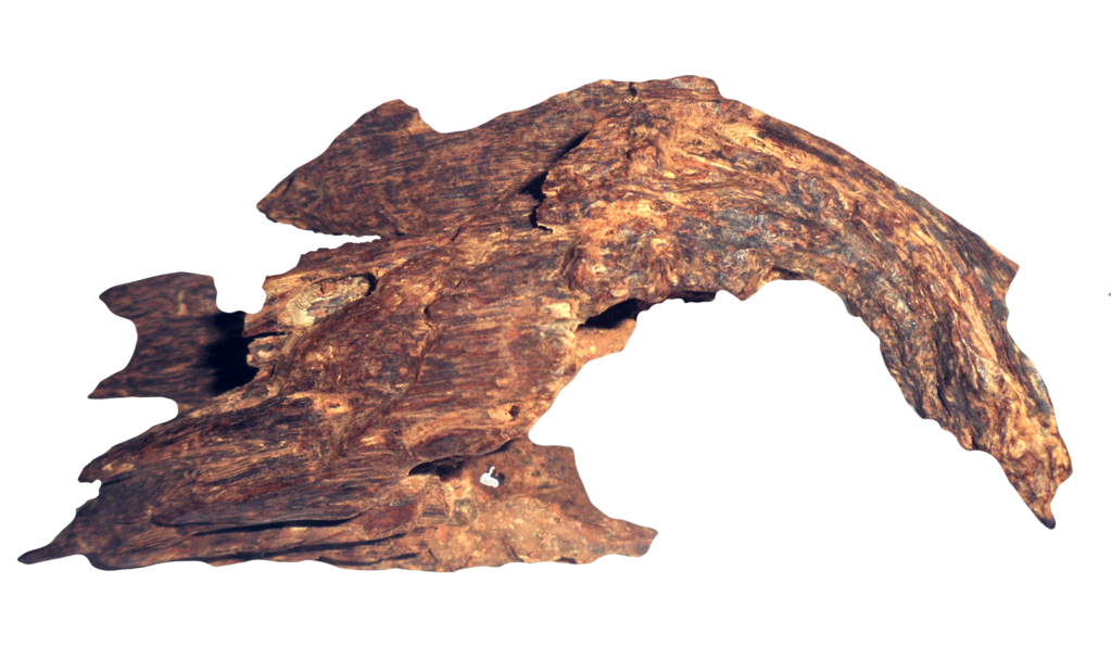 الغش في العود