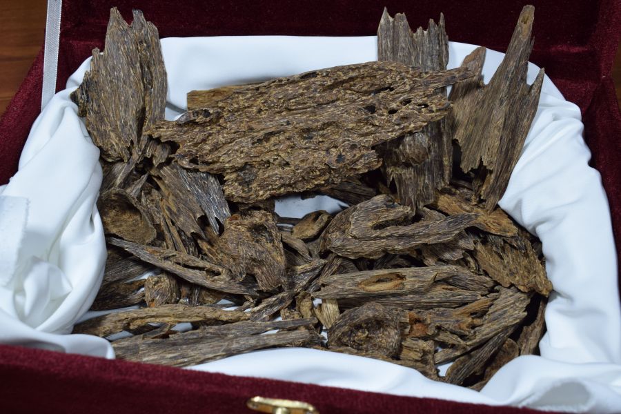 انواع العود