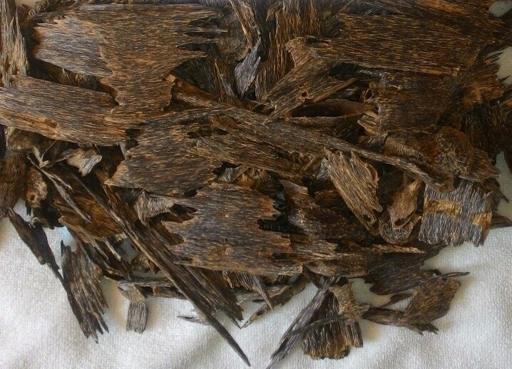 العود الجاوي العود الجاوي