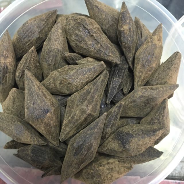 العود الجاوي العود الجاوي