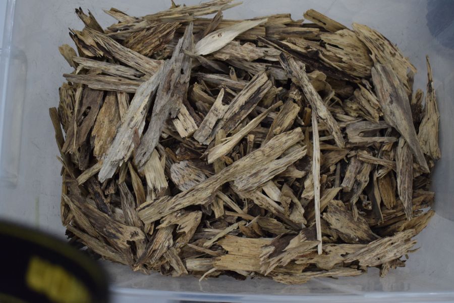 عود ماليزي تايجر عود ماليزي تايجر