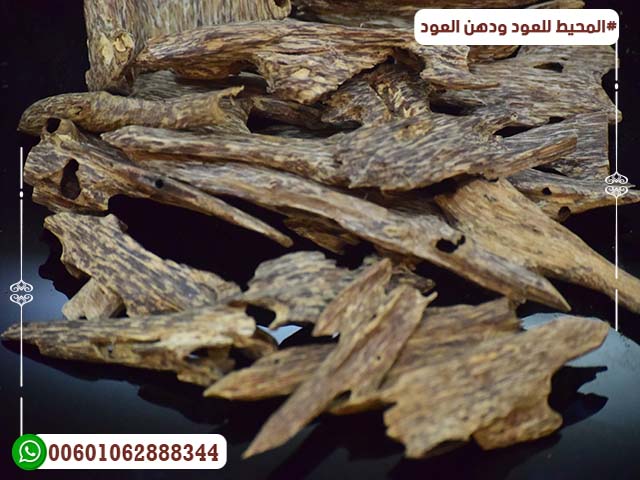 العود الموري