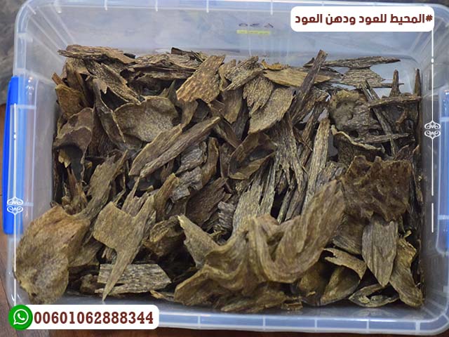 العود السومطري العود السومطري