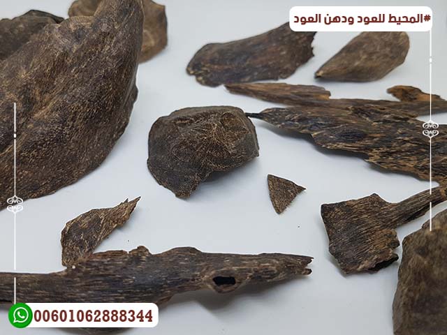 عود سومطري غطاس عود سومطري غطاس